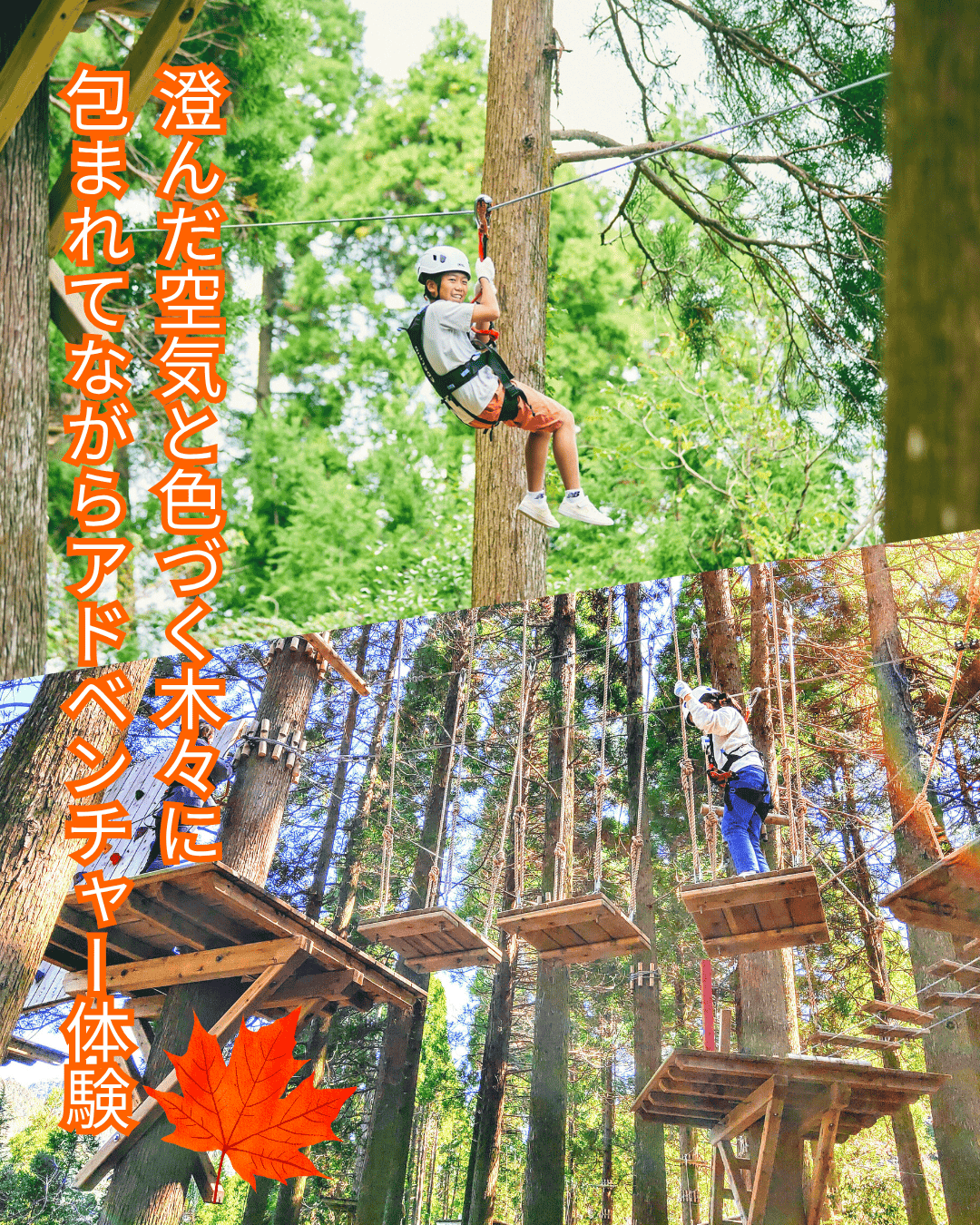 【遊ぶ・アクティビティ】アドベンチャー体験（２時間コース）